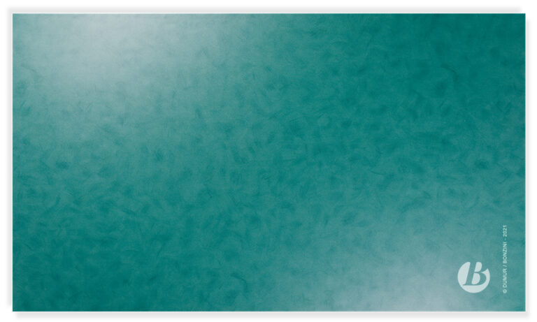 Bonzini B60 – Bild 6