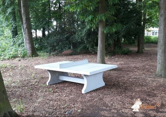 Tischtennisplatte aus Beton - eckig – Bild 5