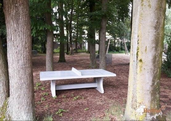 Tischtennisplatte aus Beton - eckig – Bild 6