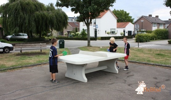 Tischtennisplatte aus Beton - abgerundet – Bild 3